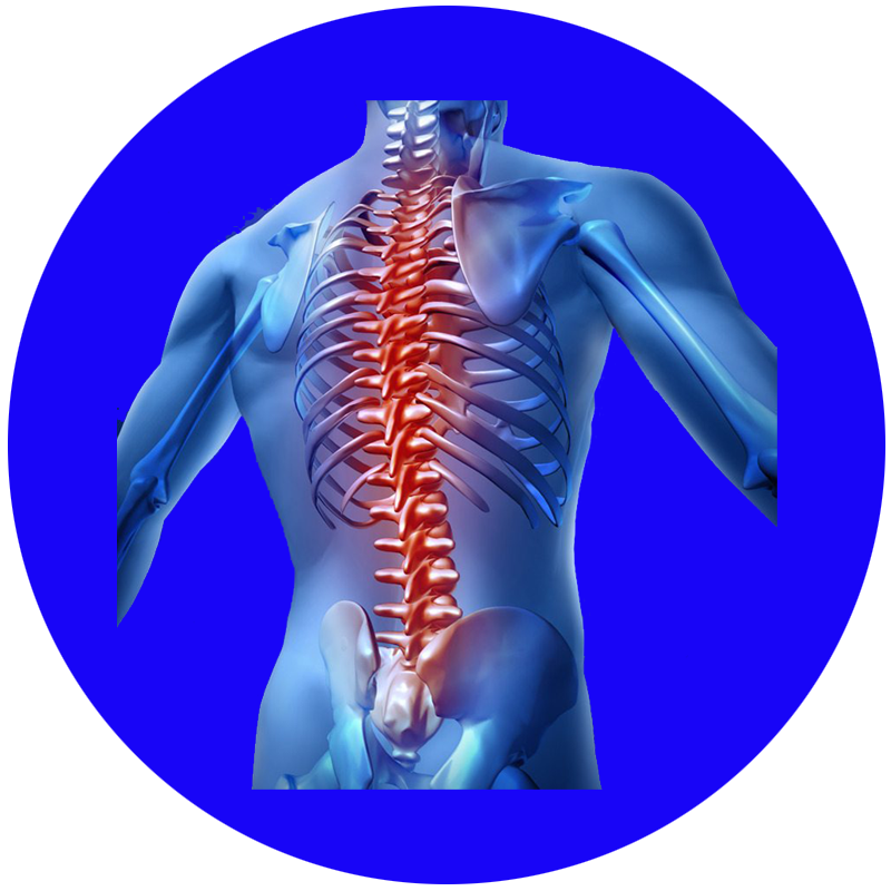 Muscular Low Back Pain, Sydney Physiotherapist